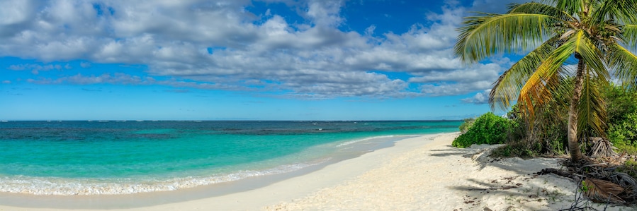 Palm tree in Shoal Bay beach, Caribbean dream landscape in Anguilla island, British West Indies panoramic web banner