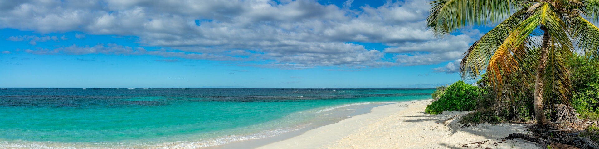A beach with clear turquoise waters, white sand, and a palm tree.