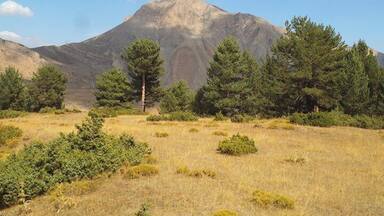 Erzurum, Uzunbağ, 2013