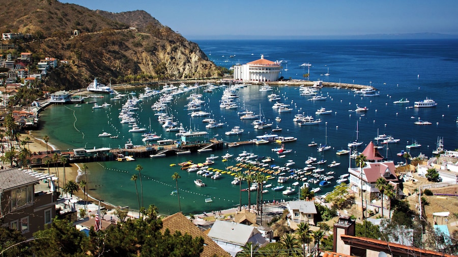 Avalon Harbor Aerial view from the hills - Catalina Island, California