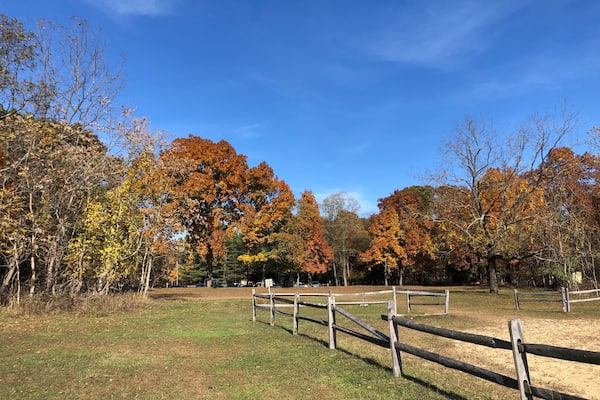 Autumn leaves and an old fence at Blydenburgh County Park in Smithtown, Long Island, New York.