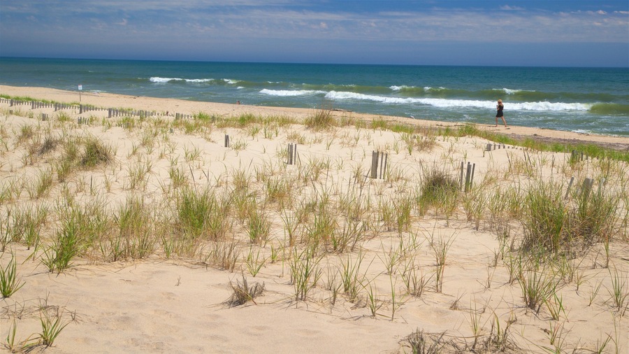 Een zandstrand met gras en houten palen, en de oceaan op de achtergrond.