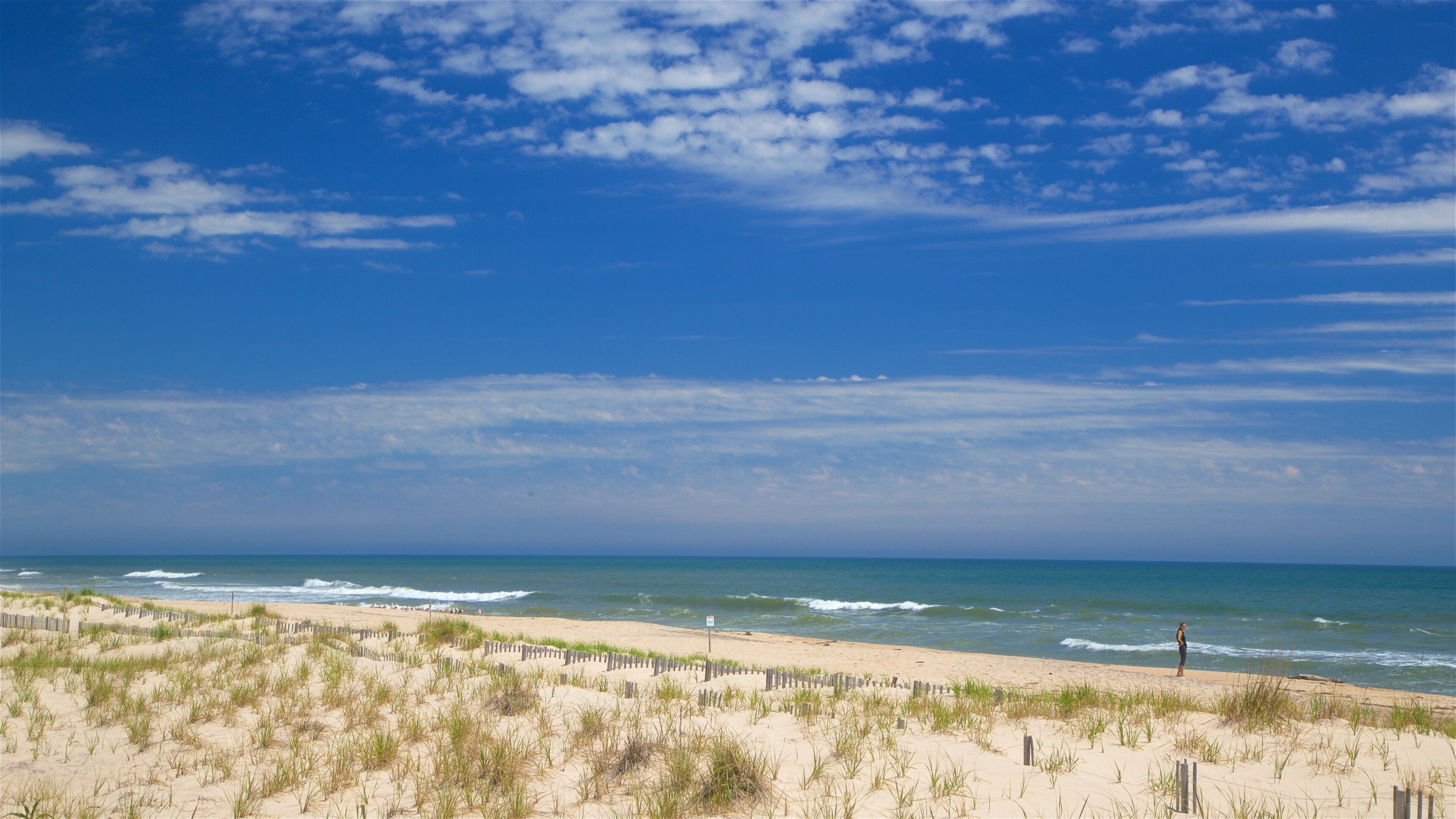 Cooper\'s Beach showing a sandy beach and general coastal views
