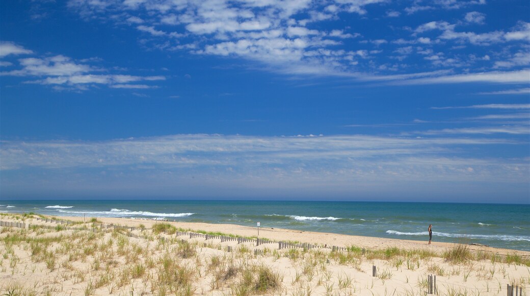 Cooper\'s Beach showing a sandy beach and general coastal views