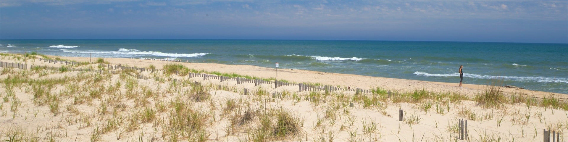 Cooper\'s Beach showing a sandy beach and general coastal views