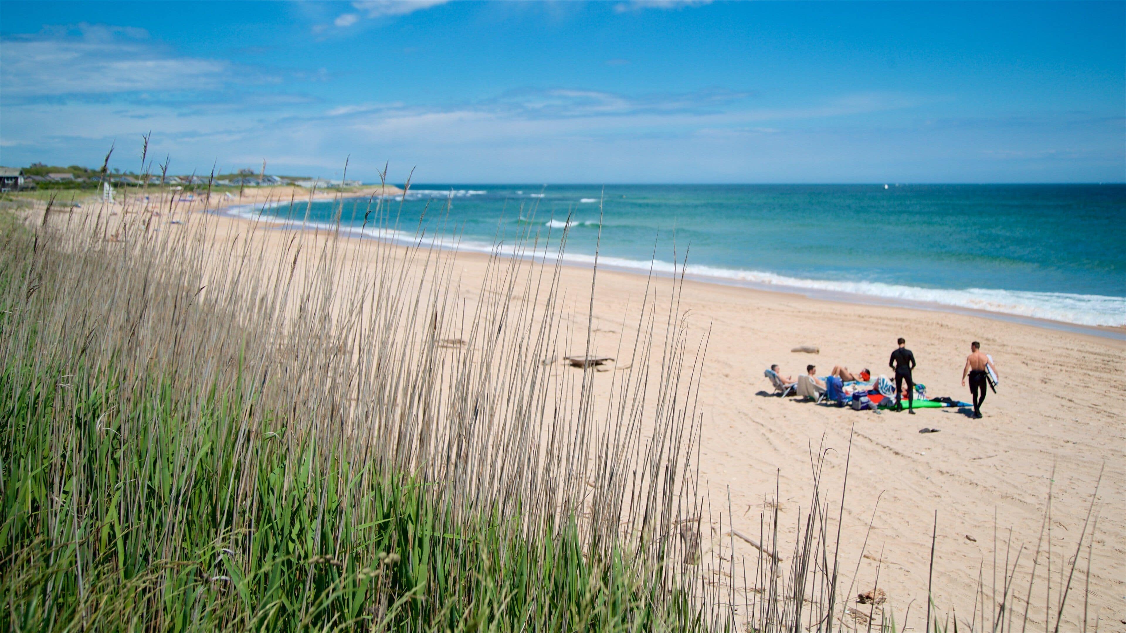 Ditch Plains Beach mettant en vedette vues littorales et plage de sable aussi bien que petit groupe de personnes