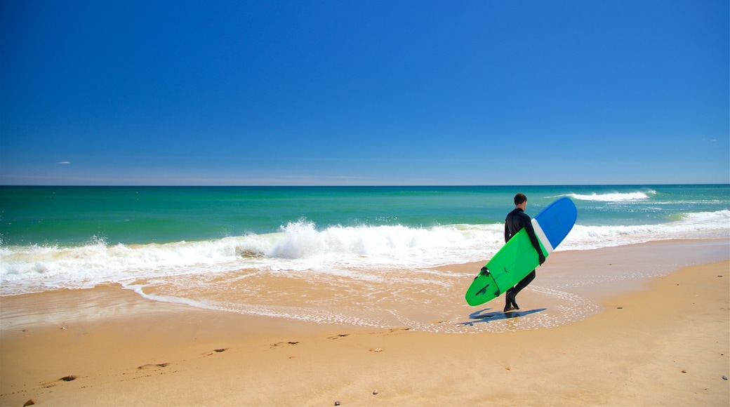 Ditch Plains Beach showing general coastal views, surfing and a beach