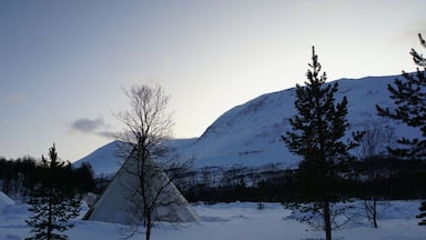 Camp Tamok offers true wilderness experience and is a great spot to see Northern lights. The nearby Ice Domes (a real ice hotel!) has incredible ice sculptures.
Sadly, the arctic is warming at twice the global average...
#LifeAtExpediaGroup