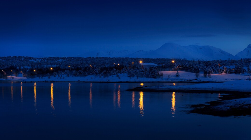 บัลส์ฟยอร์ด