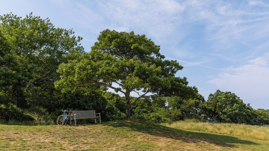 Montauk_HitherWoodsPreserve_6326910-4