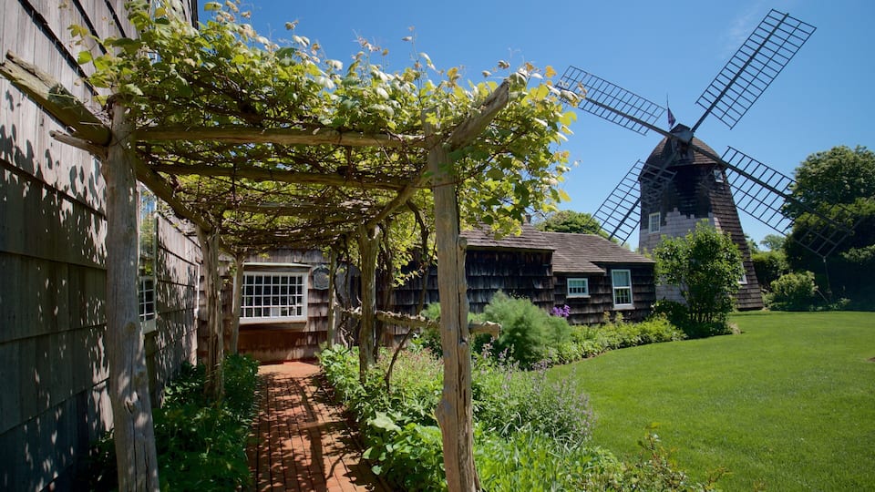 A traditional wooden house with a vine-covered pergola, a windmill, and a well-maintained garden.