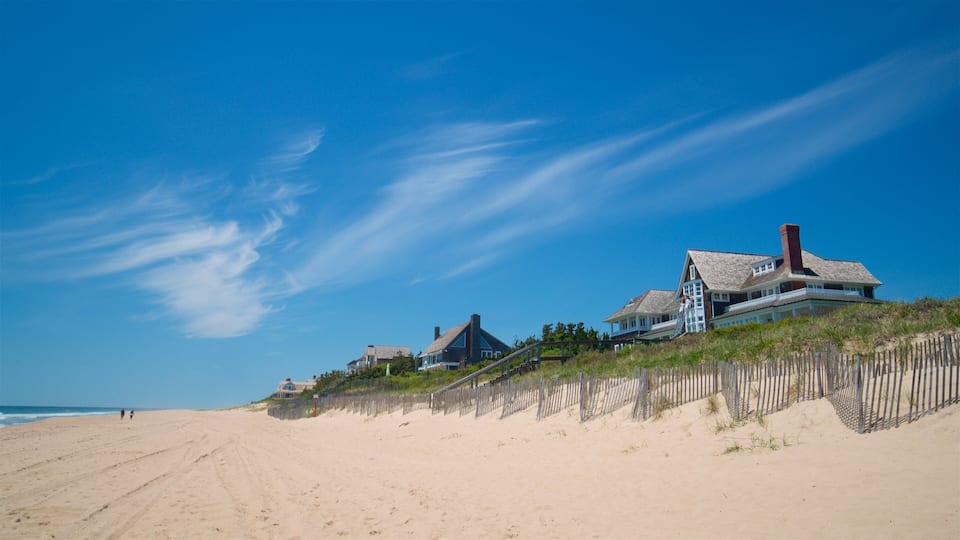 A sandy beach with wooden fences and houses on a dune.