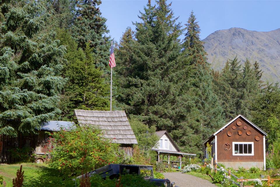 En rustik hytte omgivet af tæt skov og bjerge.