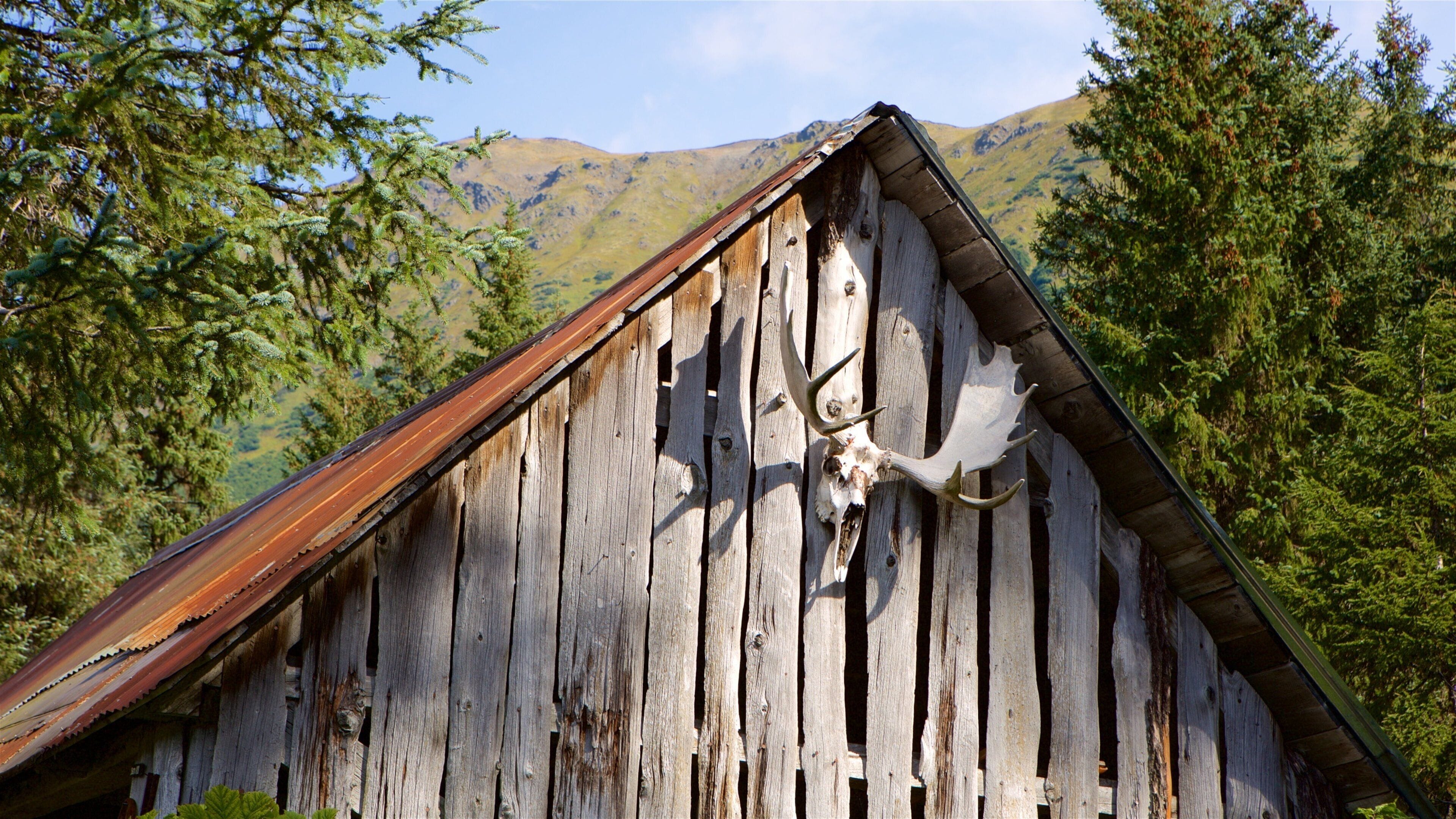A weathered wooden building with a large elk skull mounted on its side, set against a backdrop of green trees and mountains.