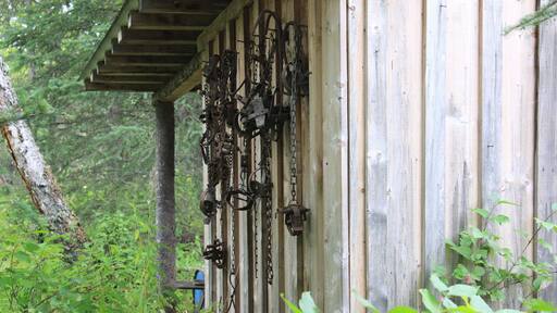 Outdoor shed with trapping supplies