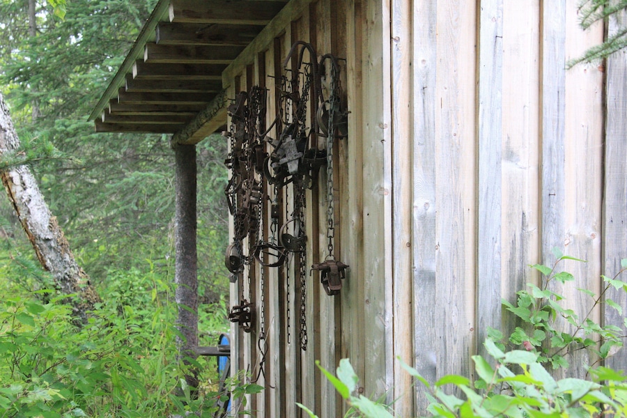 Outdoor shed with trapping supplies