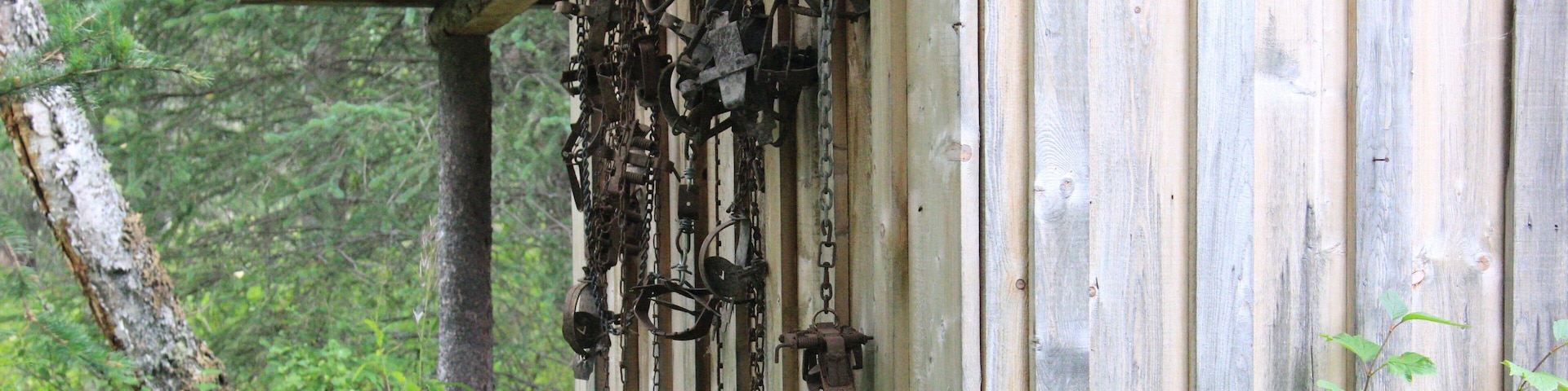 Outdoor shed with trapping supplies