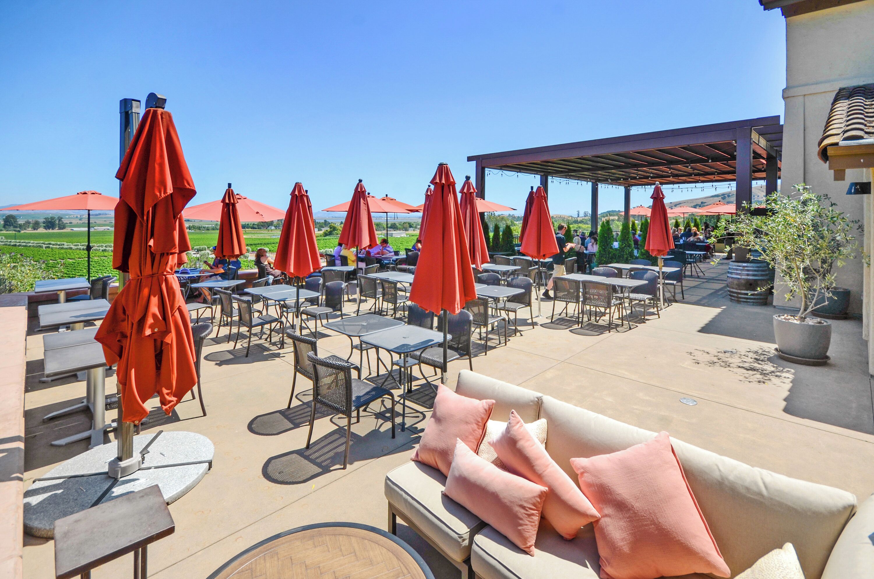 Cave et vignes de Gloria Ferrer