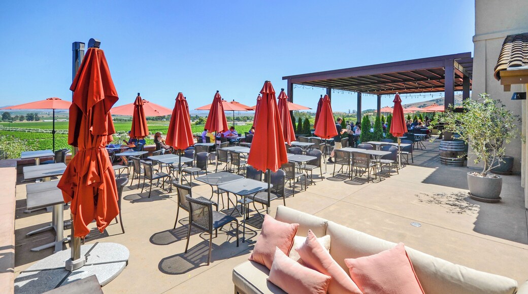 Cave et vignes de Gloria Ferrer