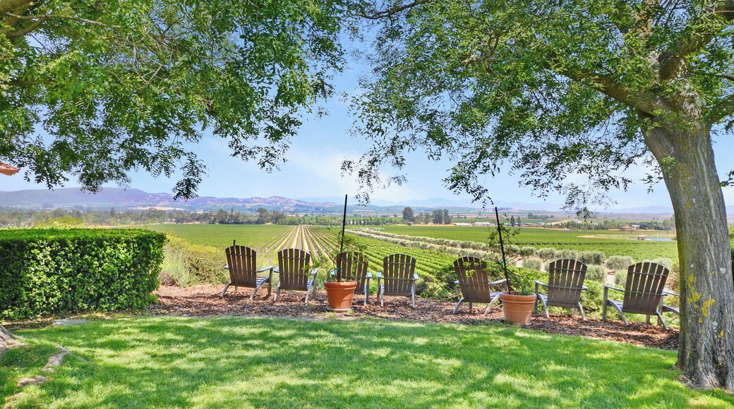 Cave et vignes de Gloria Ferrer