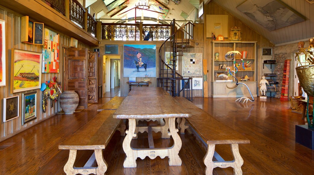 Centro de exposiciones Di Rosa mostrando arte y vistas de interior