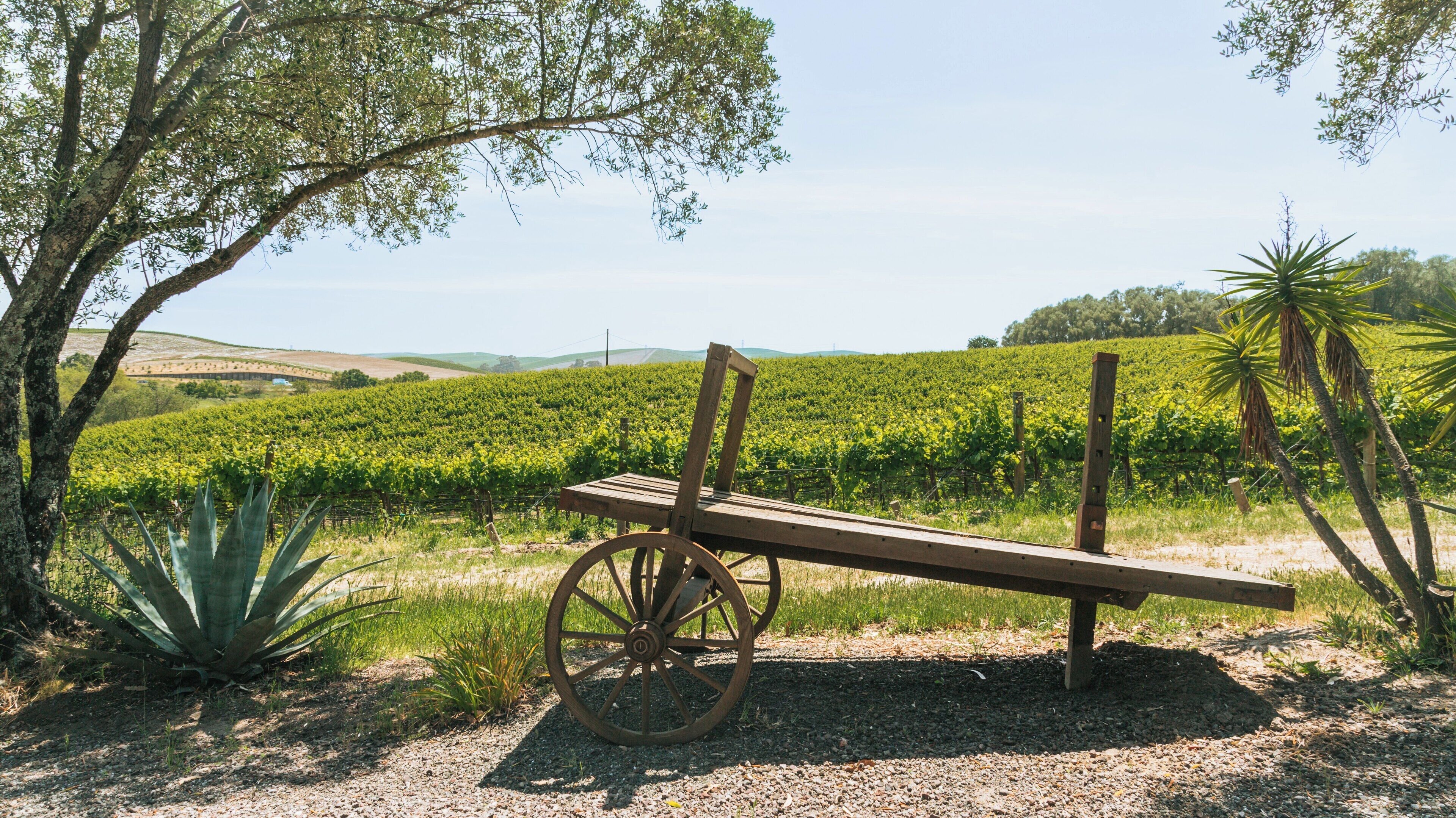 Visit to Di Rosa in Napa Valley featuring a rustic cart amidst vineyards and scenic California landscape during daytime
