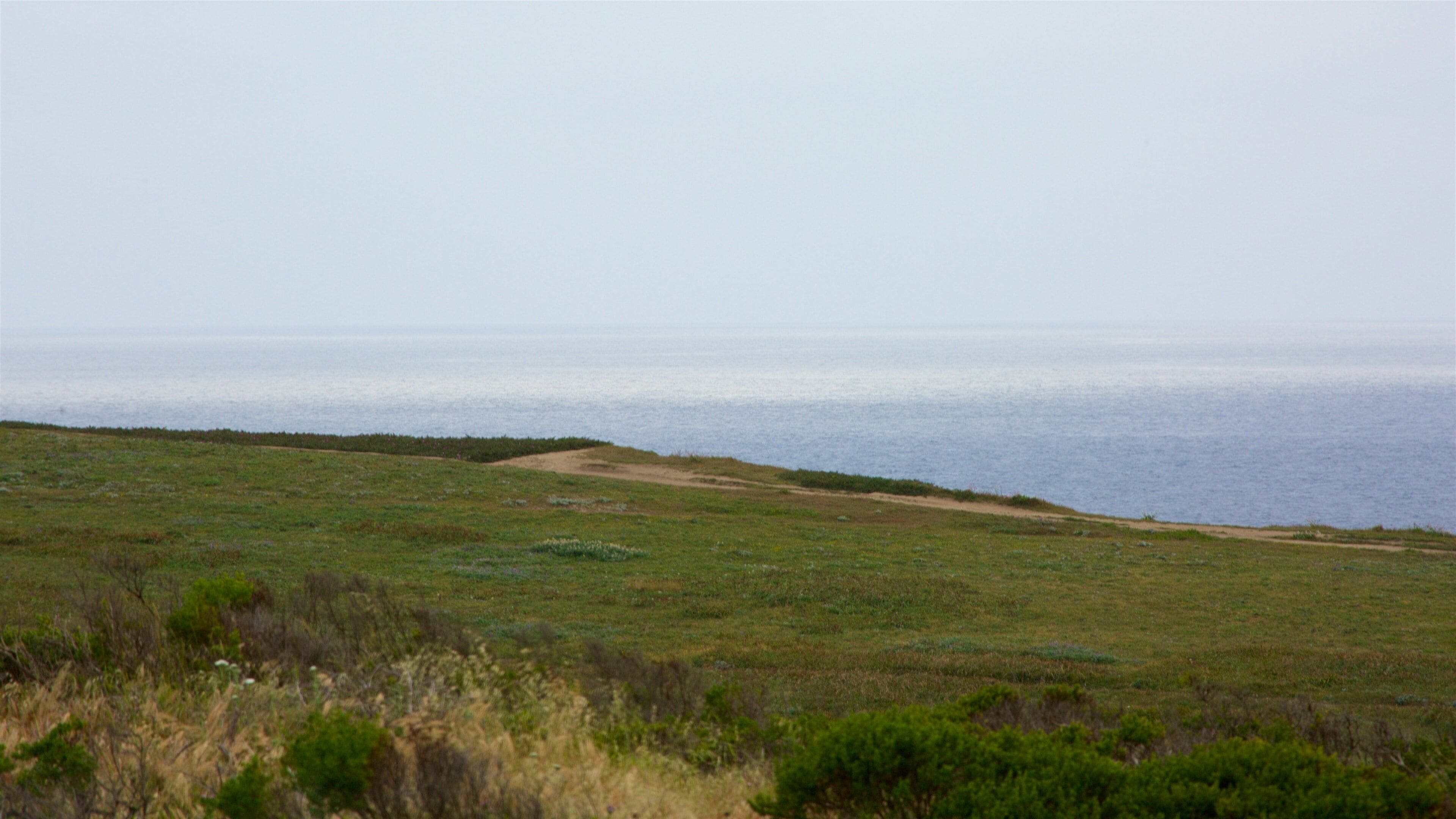 Bodega Head showing general coastal views