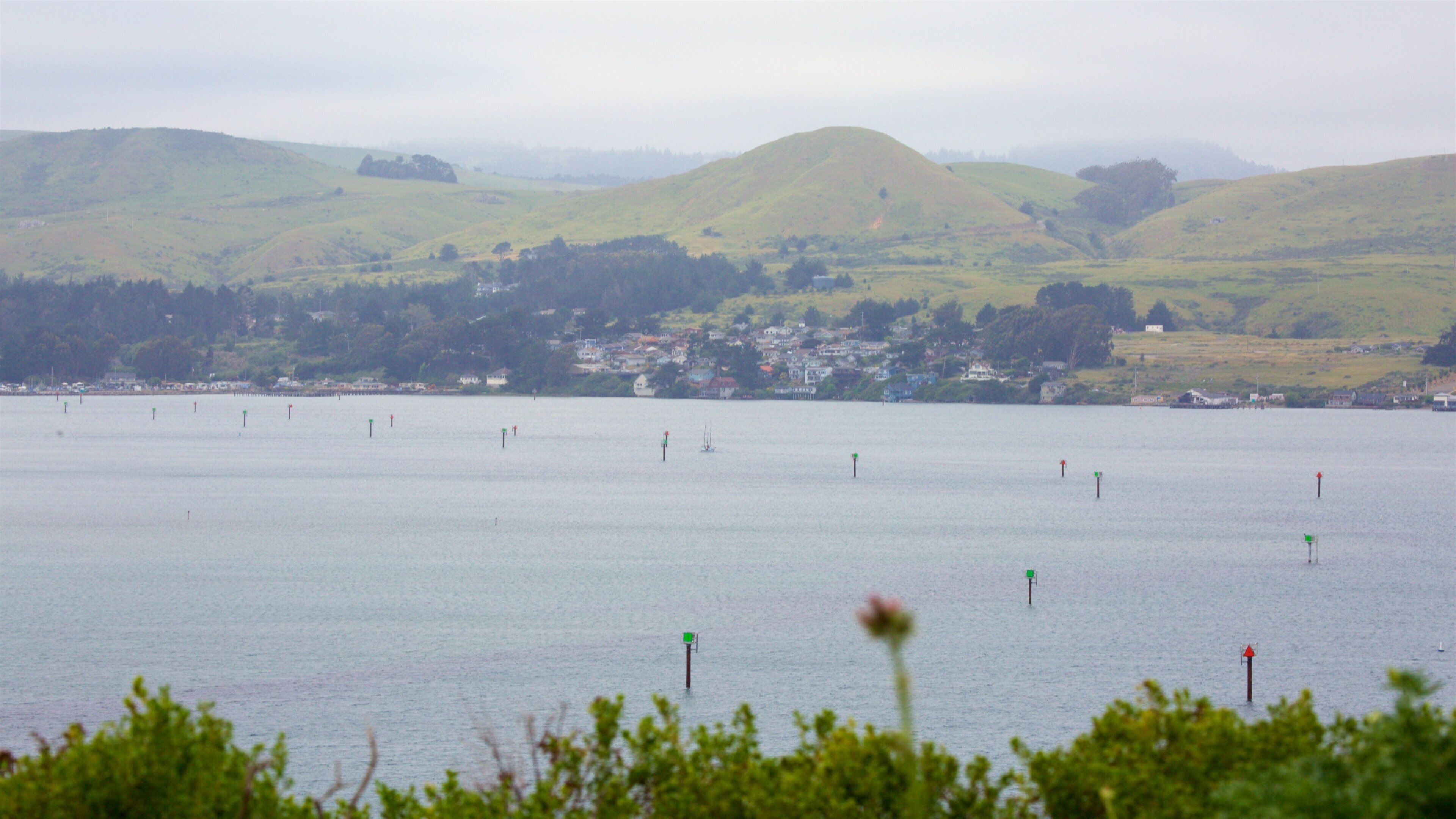 Bodega Head which includes mist or fog, tranquil scenes and a lake or waterhole