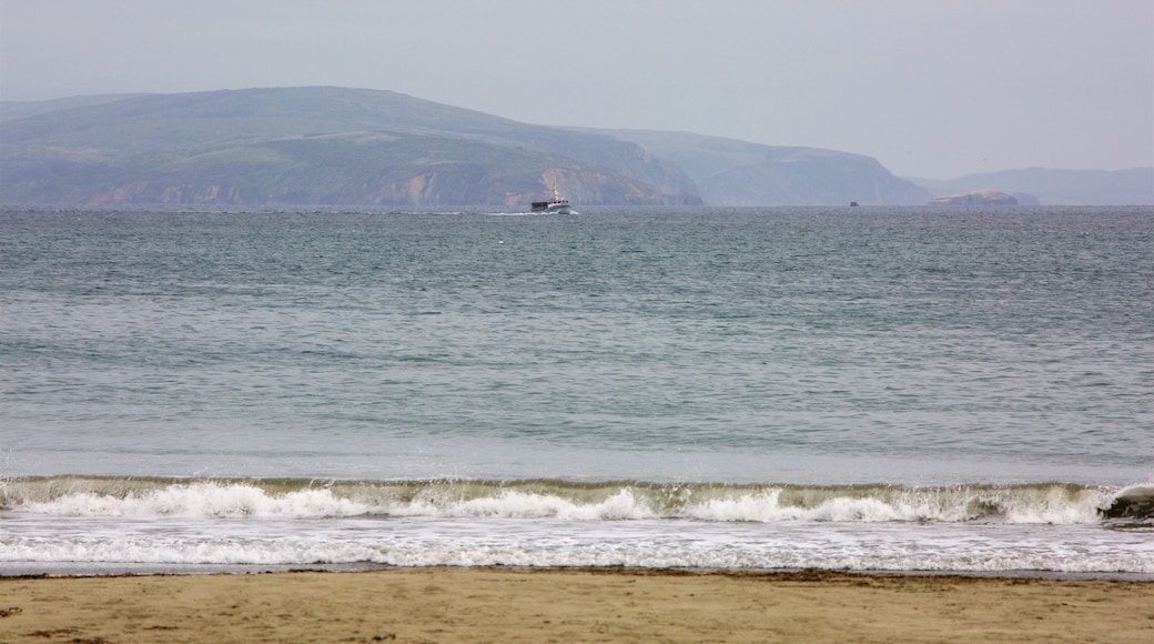 Doran Beach showing a sandy beach and general coastal views