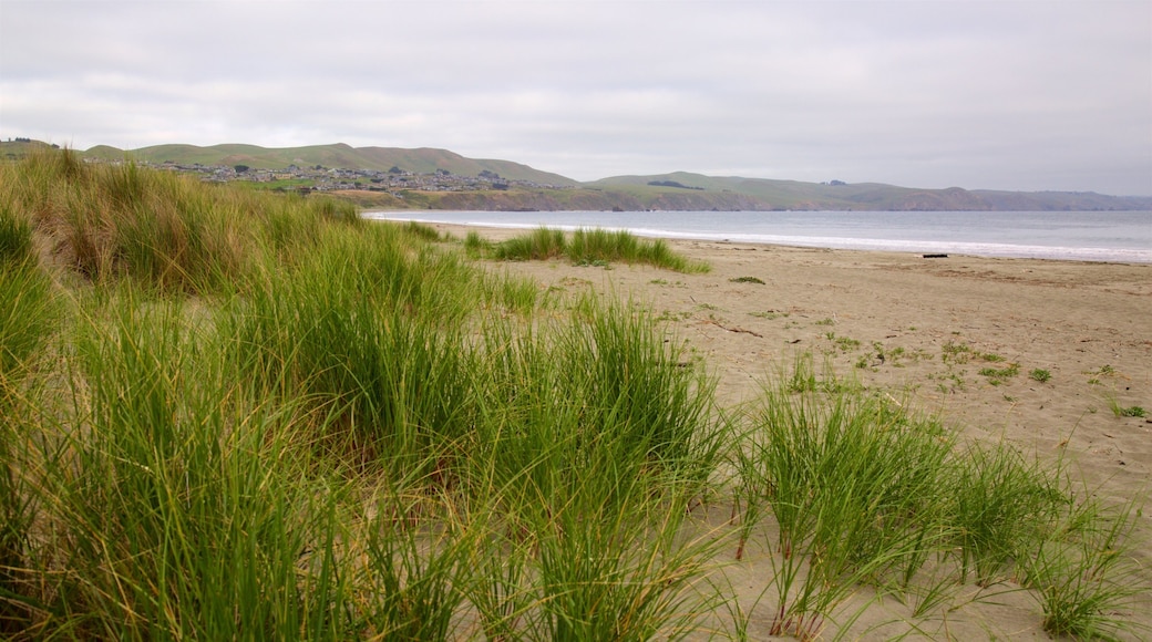 Doran Beach featuring general coastal views and a beach