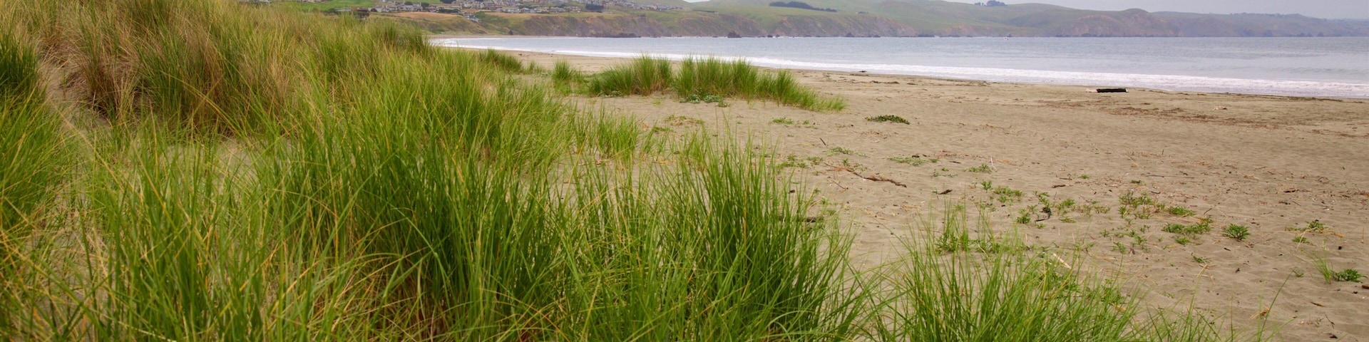 Playa Doran que incluye una playa de arena y vistas generales de la costa