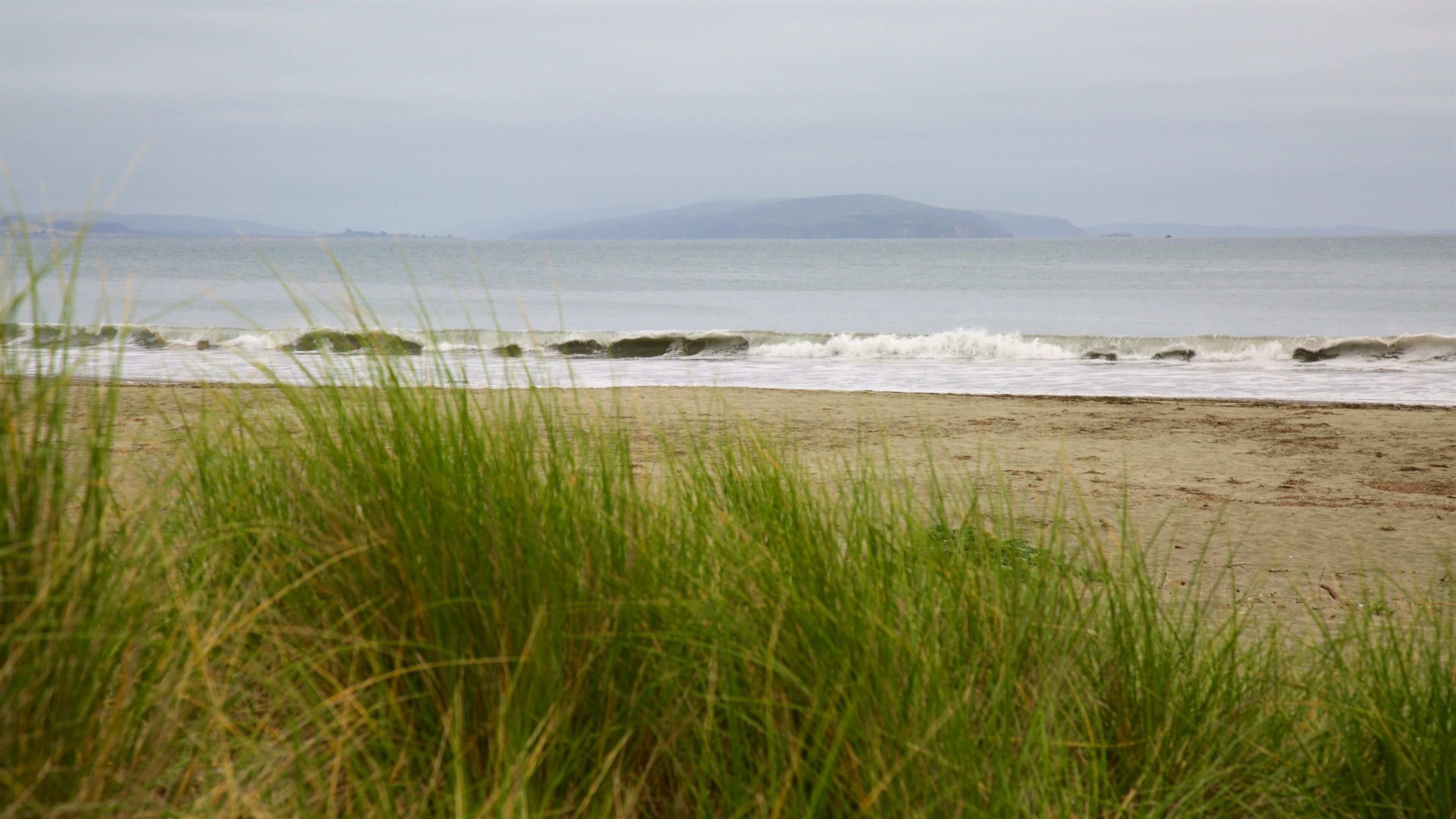 Doran Beach fasiliteter samt sandstrand og kyst