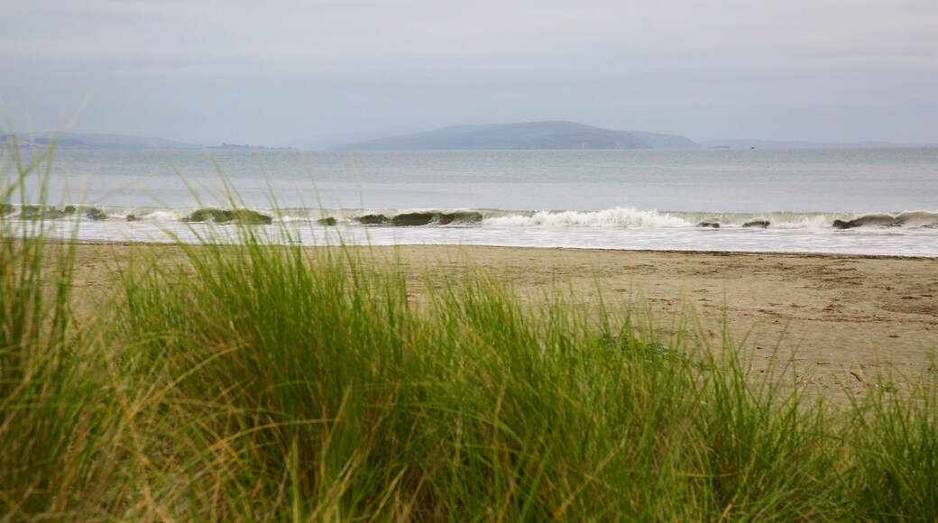 Doran Beach fasiliteter samt sandstrand og kyst