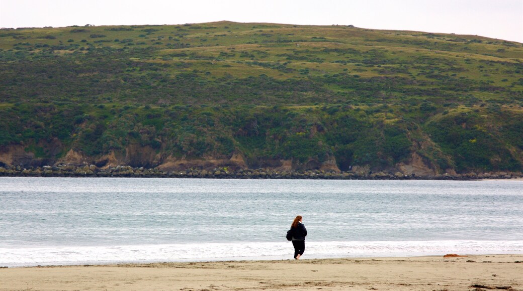 Doran Beach which includes tranquil scenes, general coastal views and a sandy beach