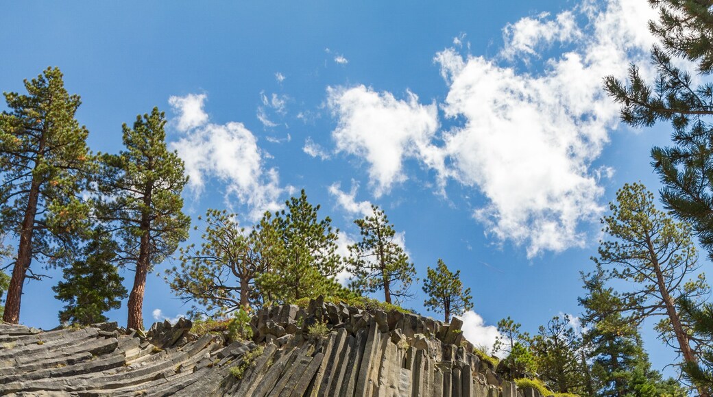 Área natural Mammoth Rocks