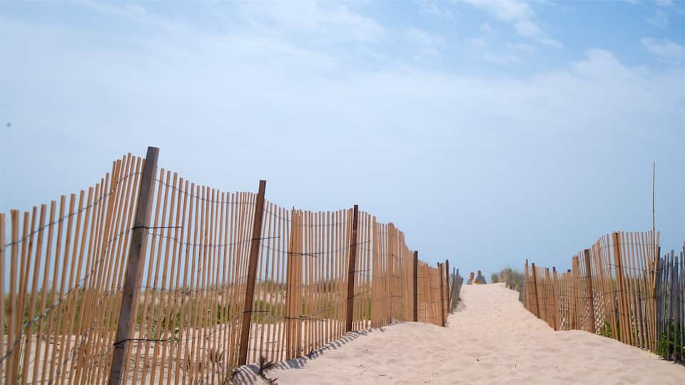 A sandy beach path flanked by bamboo fences.