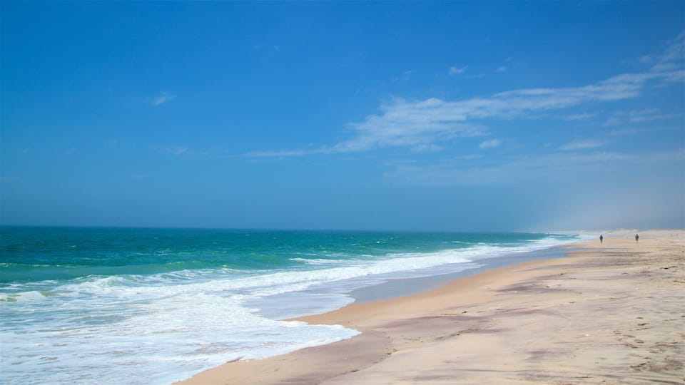 A beach with waves, a clear sky, and two people walking.