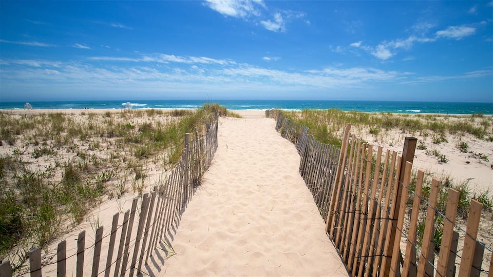A sandy beach path with wooden fences on either side leading to the ocean.