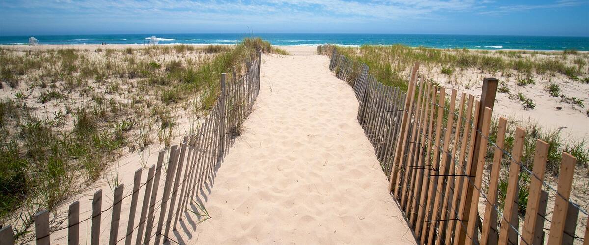 A sandy beach path with wooden fences on either side leading to the ocean.