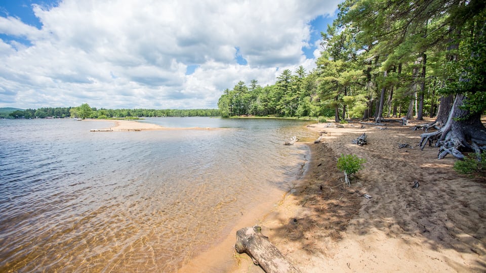 A clear lake with sandy shores, surrounded by dense green trees.