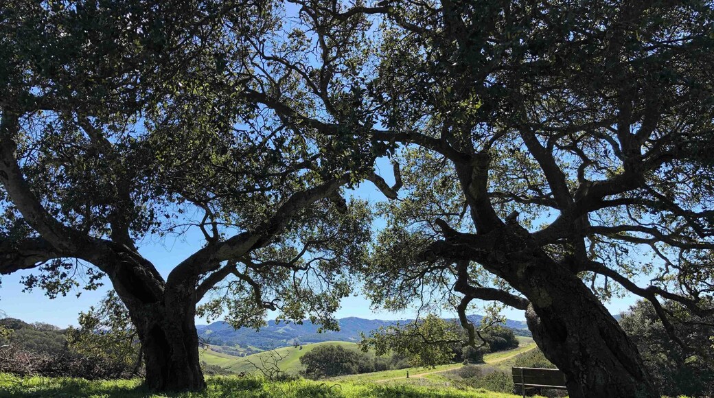 View from my morning walk