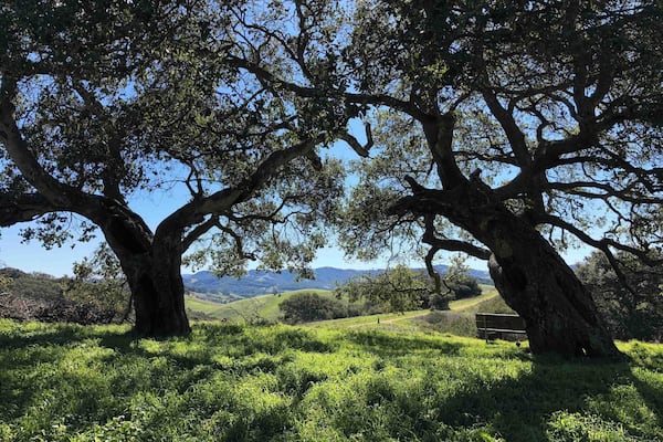 View from my morning walk