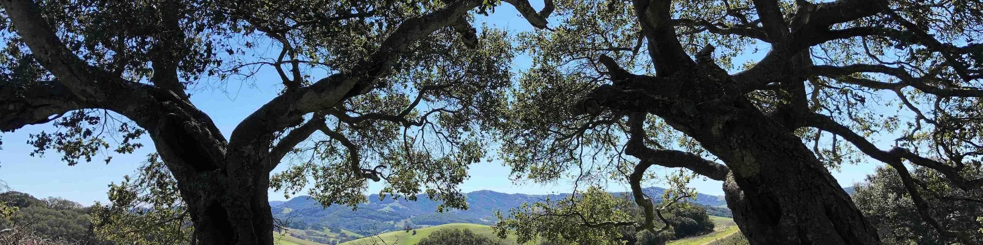 View from my morning walk