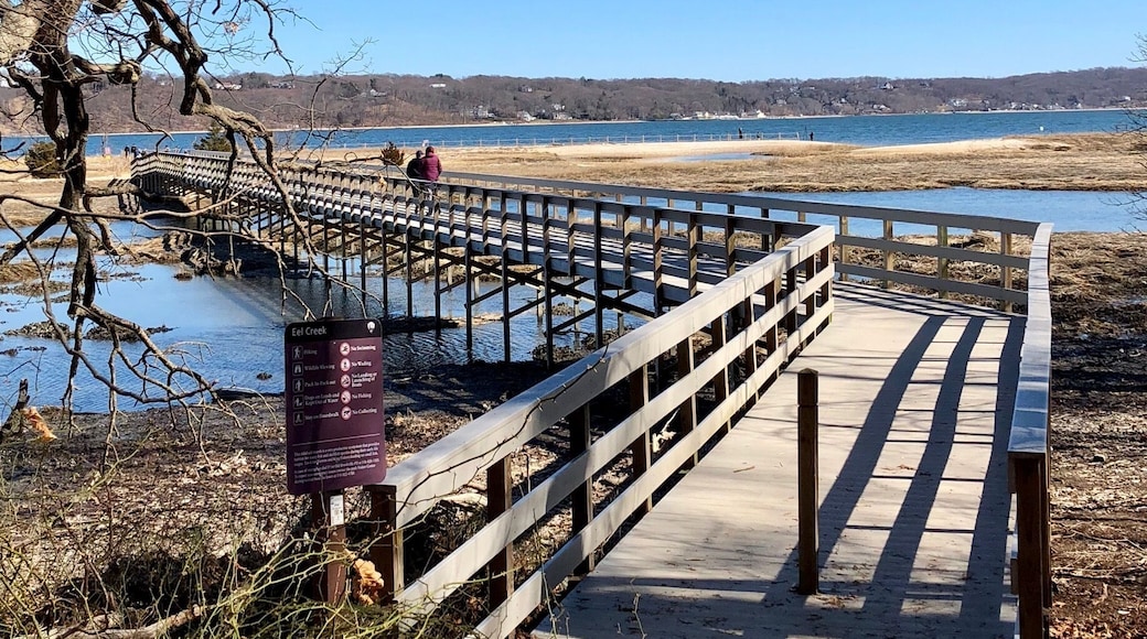 The wooden board extends toward the a mini beach where is quite and peaceful you want to stay all day long for relaxation if it is not in winter season. At the both sides of the border, looking down throwing the crystal water, you can observe the clusters of oysters. #TroveOn Tuesday #natural #beach