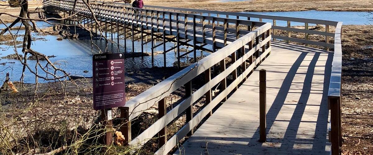 The wooden board extends toward the a mini beach where is quite and peaceful you want to stay all day long for relaxation if it is not in winter season. At the both sides of the border, looking down throwing the crystal water, you can observe the clusters of oysters. #TroveOn Tuesday #natural #beach