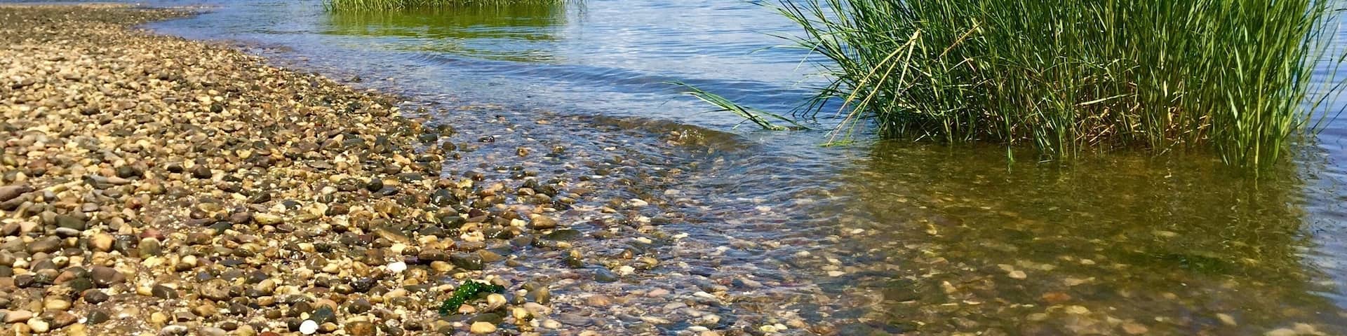 Sagamore Hill is a great place to visit for those nature lovers and history buffs. The tour of the Roosevelt house was interesting as well as a full museum on Theodore Roosevelt. This branch of the natural park service also included a nature trail that takes you to the pretty beach in the picture. Along the trail we were able to spot beautiful wild flowers many chipmunks, squirrels, deer, egrets, butterflies, crawfish, salamanders, etc.... Not one of the most majestic national parks I've been to but interesting, very pretty and a great mix of both history and nature! We spent 3.5 hours there including taking the house tour, thoroughly reading through everything in the museum and taking a stroll to the beach. It's near the cute historic town oyster bay which is a great town to stroll through and get lunch!