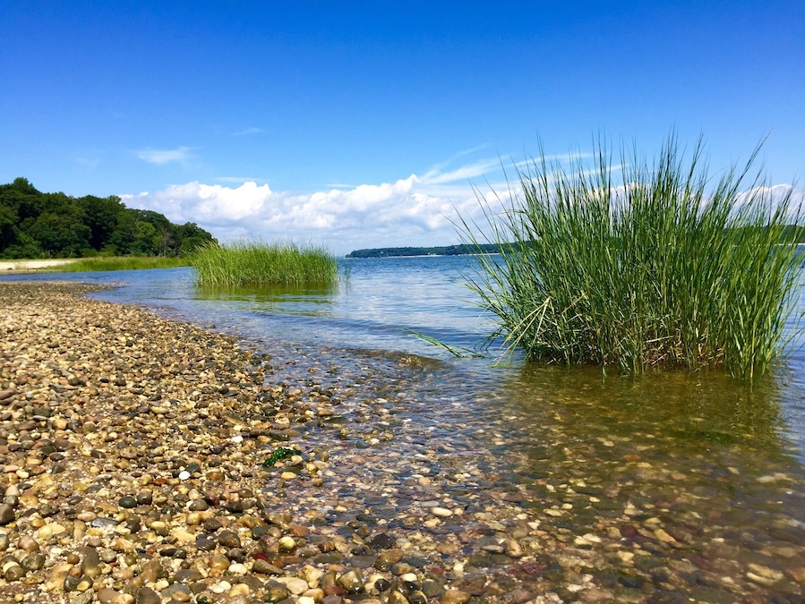 Sagamore Hill is a great   place to visit for those nature lovers and history buffs. The tour of the Roosevelt house was interesting as well as a full museum on Theodore Roosevelt. This branch of the natural park service also included a nature trail that takes you to the pretty beach in the picture. Along the trail we were able to spot beautiful wild flowers many chipmunks, squirrels, deer, egrets, butterflies, crawfish, salamanders, etc.... Not one of the most majestic national parks I've been to but interesting, very pretty and a great mix of both history and nature! We spent 3.5 hours there including taking the house tour, thoroughly reading through everything in the museum and taking a stroll to the beach. It's near the cute historic town oyster bay which is a great town to stroll through and get lunch!