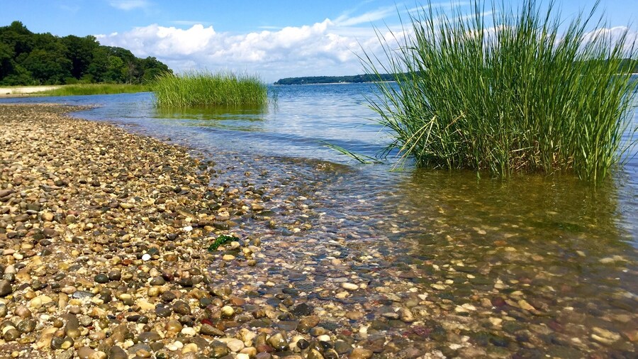 Sagamore Hill is a great place to visit for those nature lovers and history buffs. The tour of the Roosevelt house was interesting as well as a full museum on Theodore Roosevelt. This branch of the natural park service also included a nature trail that takes you to the pretty beach in the picture. Along the trail we were able to spot beautiful wild flowers many chipmunks, squirrels, deer, egrets, butterflies, crawfish, salamanders, etc.... Not one of the most majestic national parks I've been to but interesting, very pretty and a great mix of both history and nature! We spent 3.5 hours there including taking the house tour, thoroughly reading through everything in the museum and taking a stroll to the beach. It's near the cute historic town oyster bay which is a great town to stroll through and get lunch!