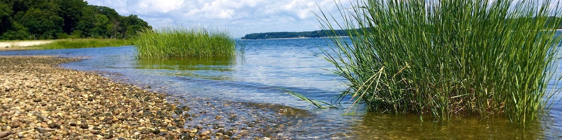 Sagamore Hill is a great place to visit for those nature lovers and history buffs. The tour of the Roosevelt house was interesting as well as a full museum on Theodore Roosevelt. This branch of the natural park service also included a nature trail that takes you to the pretty beach in the picture. Along the trail we were able to spot beautiful wild flowers many chipmunks, squirrels, deer, egrets, butterflies, crawfish, salamanders, etc.... Not one of the most majestic national parks I've been to but interesting, very pretty and a great mix of both history and nature! We spent 3.5 hours there including taking the house tour, thoroughly reading through everything in the museum and taking a stroll to the beach. It's near the cute historic town oyster bay which is a great town to stroll through and get lunch!