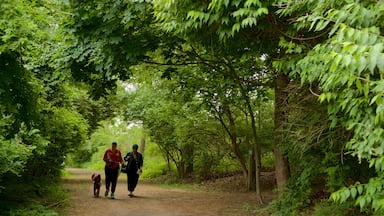 Sands Point Preserve
